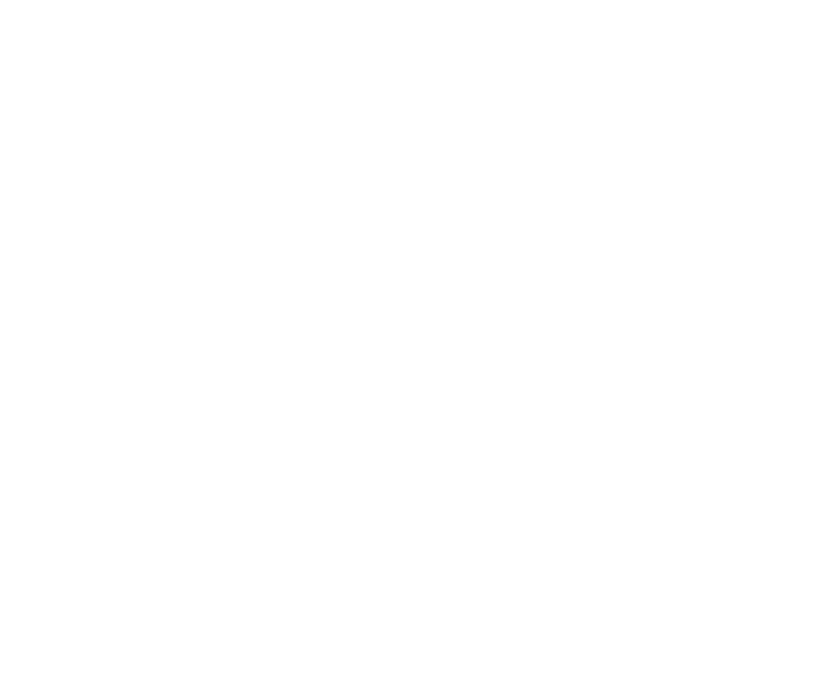 logo record